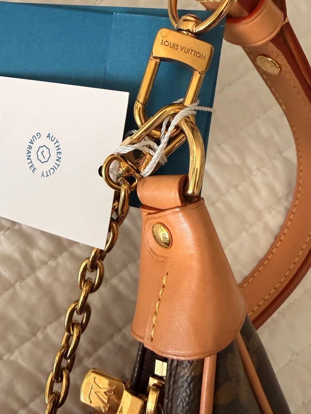 Louis Vuitton Brown Monogram Loop Bag